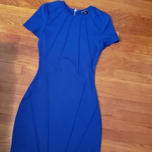 Express Sheath Dress